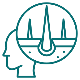 Use of existing hair for transplantation